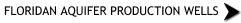 Floridan Aquifer Production Wells