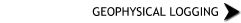 Geophysical Logging